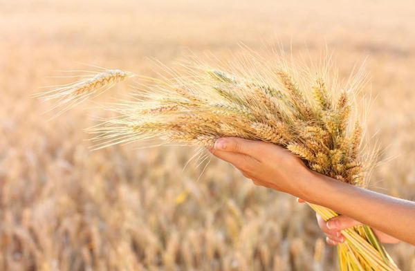 十四五是什么时间开始的 1122908608_1527640413280_title0h.jpg