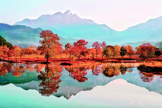 罗田县九资河镇gdp_罗田县九资河镇地图